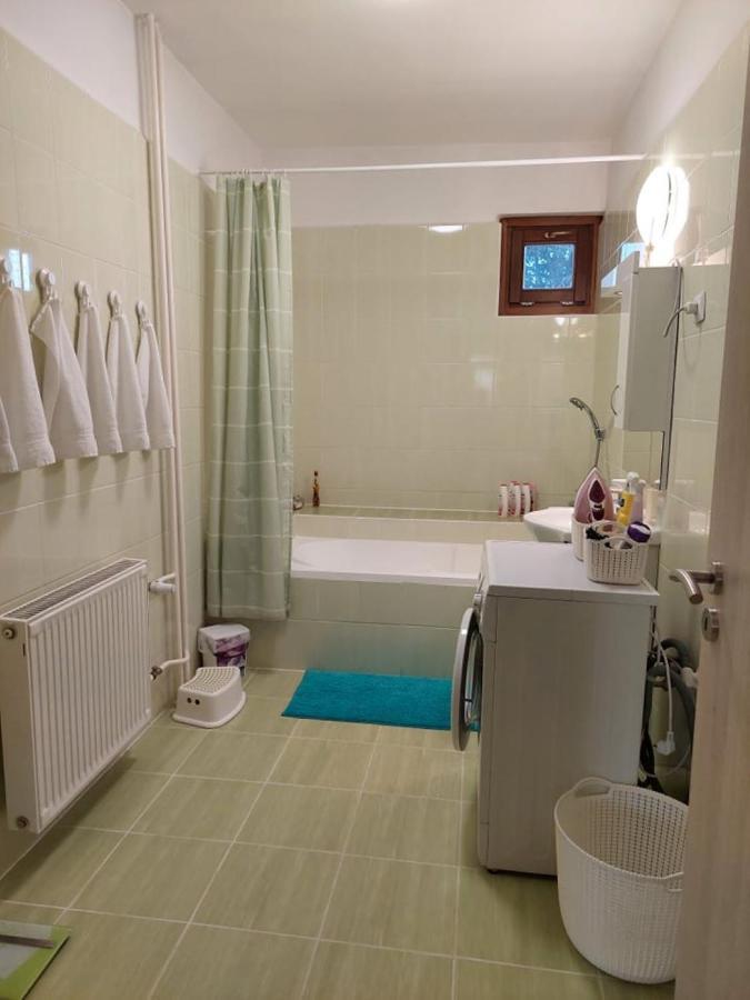 Nagcsaládos Rózsa Apartman Balatonlelle Kültér fotó